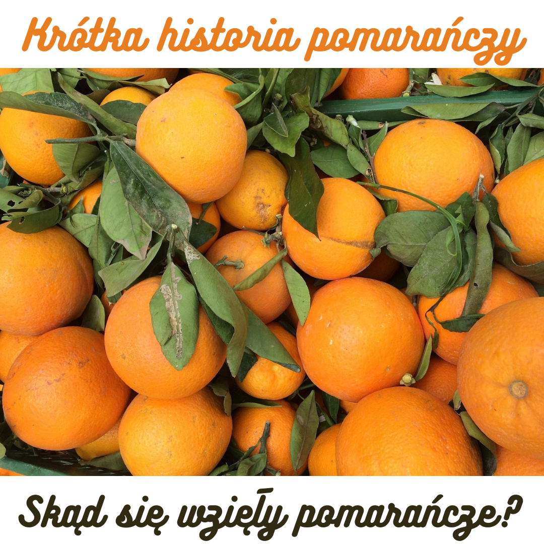 Skąd pochodzą pomarańcze? Krótka historia